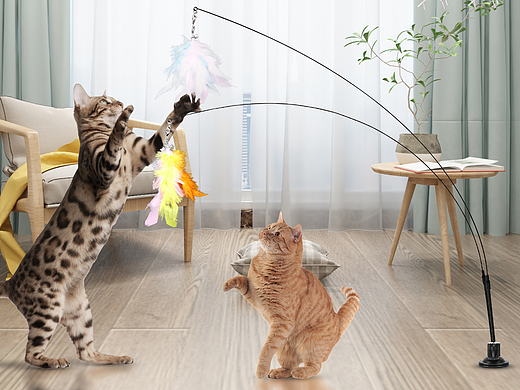 亚马逊主图（逗猫棒）