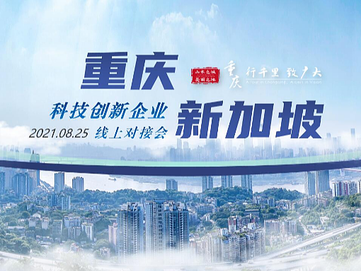 重庆·新加坡线上对接会PPT设计作品部分页面展示