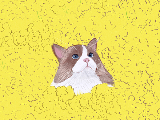 最近一点点猫咪（个人主页-ZNTk1MzY0NzY=） - 创作习作 - 站酷设计师机智的熊猫原创素材 - 站酷ZCOOL