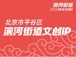 豐臺(tái)區(qū)濱河街道IP