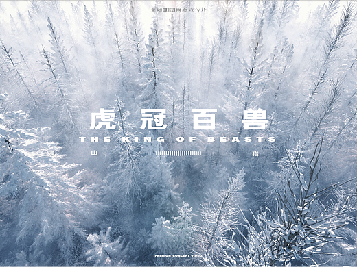 大话西游2 |《虎冠百兽》主题时装概念宣传片