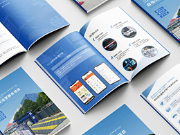 企業(yè)項(xiàng)目宣傳畫冊(cè)設(shè)計(jì)