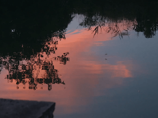 盛夏夜晚农家小院|日常记录