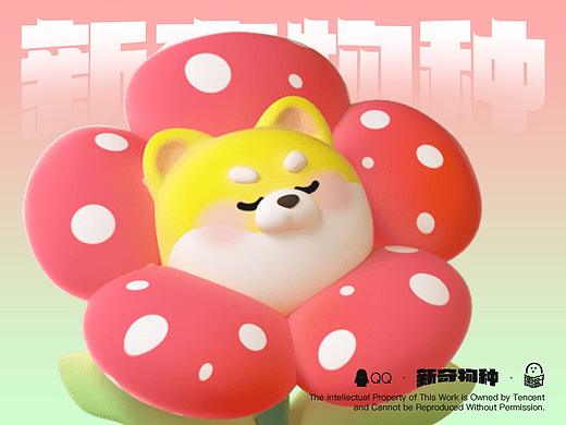 乐盒子IP案例赏析 I「新奇物种」的花花世界
