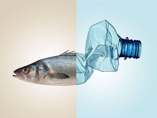 公益海报设计的实战案例及思维方法