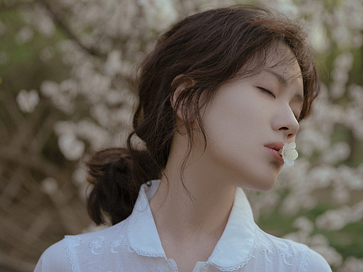 「 樱花 樱花 想见你 」