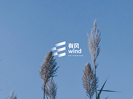 有風(fēng)服飾品牌提案
