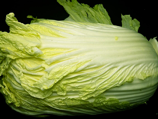 白菜（个人主页-ZNjgyMjY5NTI=） - 其他摄影 - 站酷设计师Z300592668原创素材 - 站酷ZCOOL