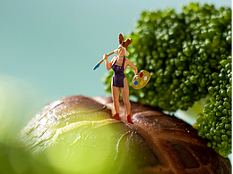 新西蘭畫（花）家