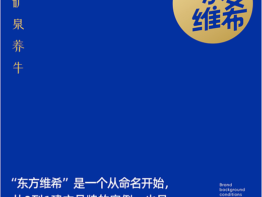 视维 × 东方维希 | 品牌全案设计案例
