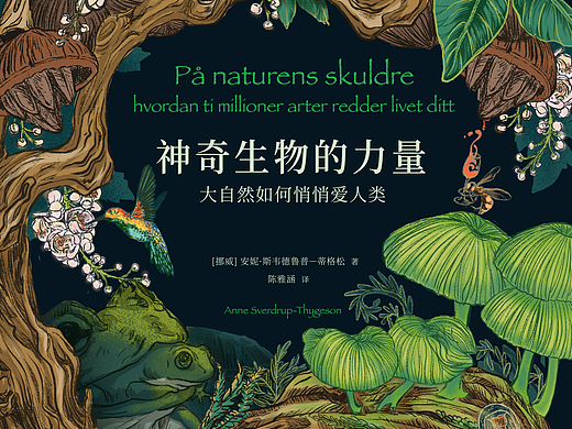 书籍&插画设计-《神奇生物的力量》