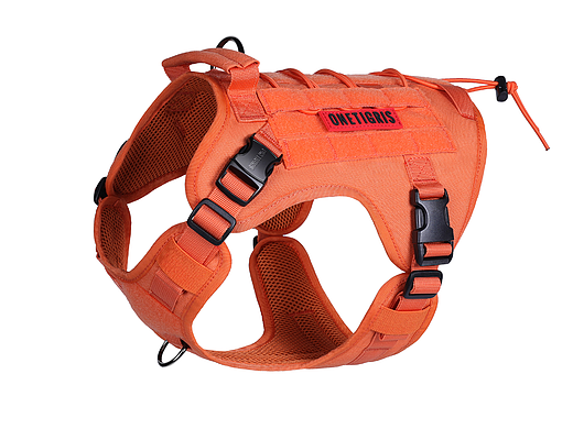 跨境精品-户外宠物用品(二)