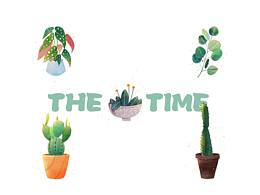 果味-肌理盆栽植物插畫