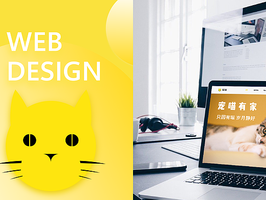 Web  Design