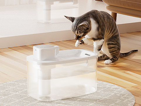 猫狗喂水器