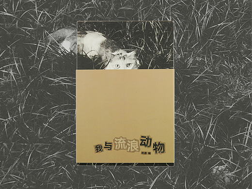 《我与流浪动物》