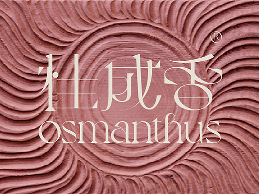 OSMANTHUS | 品牌设计 ——有品味的女人