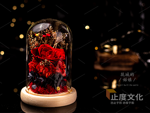 永生花 玫瑰花 愛情花（個(gè)人主頁(yè)-ZNjA3MzQwODg=） - 產(chǎn)品攝影 - 站酷設(shè)計(jì)師筑城的姑娘原創(chuàng)素材 - 站酷ZCOOL