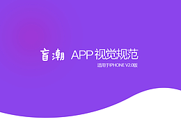 盲GO APP｜視覺規(guī)范