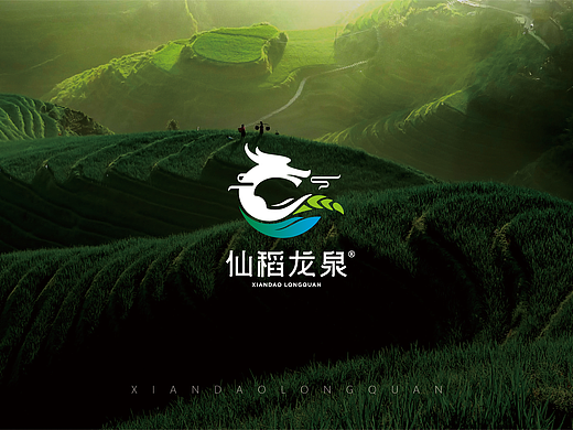 仙稻龙泉-大米品牌VI设计