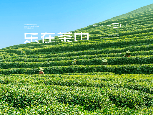 ENJOY THE TEA乐在茶中品牌VI及产品包装设计
