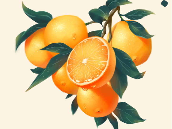 原创手绘赣南脐橙插画包装设计橙/橘厚涂写实