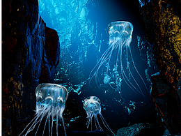 水母精华液产品渲染小视频