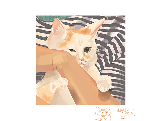 猫猫（个人主页-ZNjA2MTYzNjQ=） - 创作习作 - 站酷设计师姜浆将江原创素材 - 站酷ZCOOL