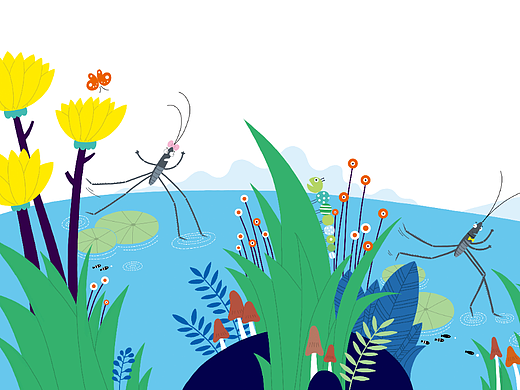 昆虫科普绘本——《水黾的日记》