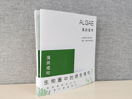 关于藻类、苔藓、蕨类植物的书籍设计丨Book Design