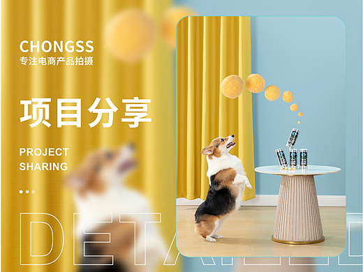 宠物产品摄影| 宠叔叔xK9零食冻干