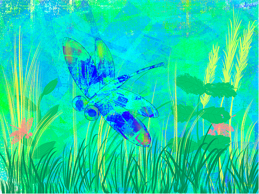 夏日蜻蜓