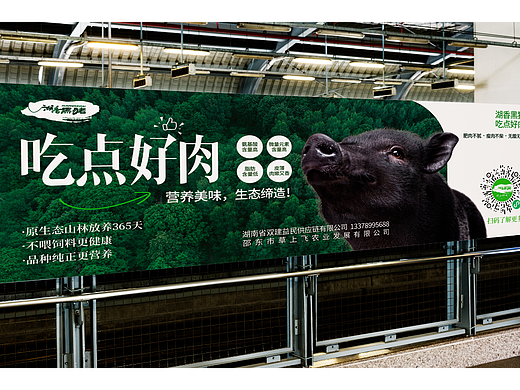 黑猪肉户外广告