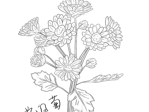 随手药材画稿