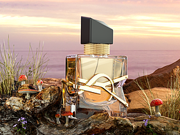 C4D产品搭建练习