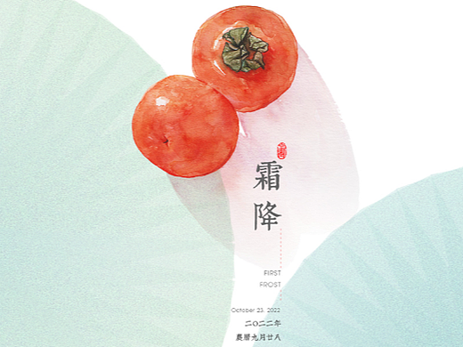 寒露\霜降\立冬\小雪【24节气】  