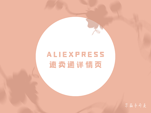 跨境电商-速卖通详情页