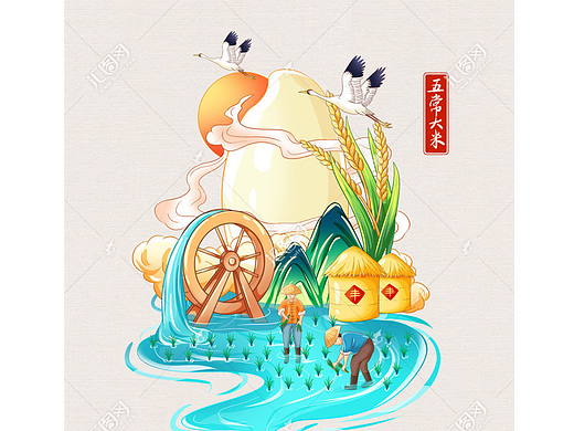 大米包装插画手绘设计
