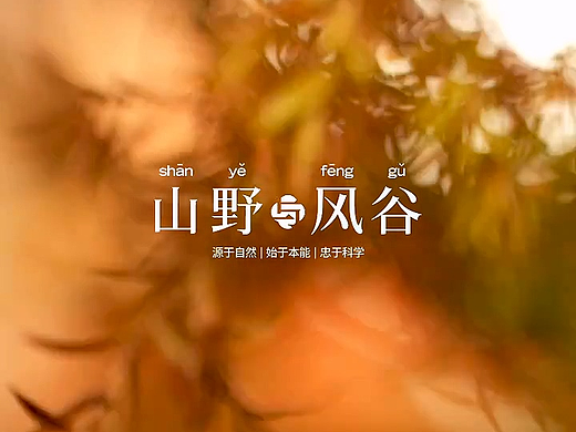 视频丨猫粮（个人主页-ZNjA2NzcwMzI=） - 短片 - 站酷设计师月球引力原创素材 - 站酷ZCOOL