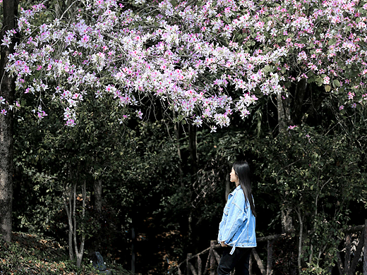仙姑风景区随记
