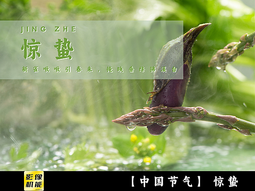【中国节气】惊蛰