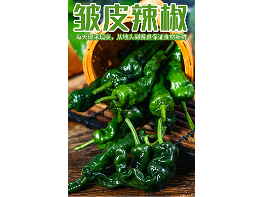 皱皮椒详情 皱皮椒详情页 皱皮辣椒 皱皮青椒