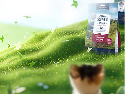 ZIWI春季直播间素材