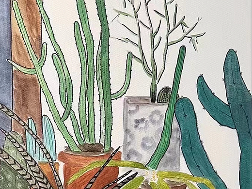 植物一角
