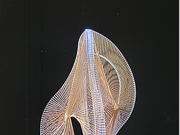分享：瑙姆·加博(Naum Gabo)亚克力线性结构艺术品