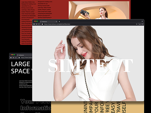 亚马逊电商-女性卡包壳