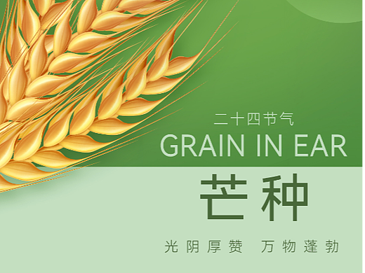 芒种海报（个人主页-ZNjAyMDg4MTY=） - 海报 - 站酷设计师呀凡哥原创素材 - 站酷ZCOOL