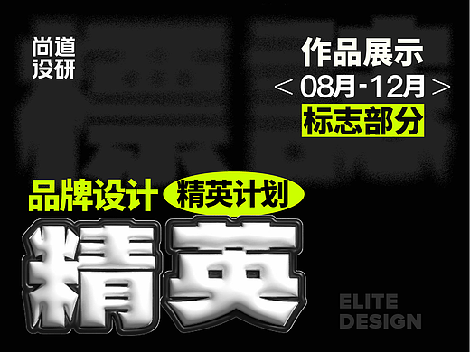 品牌精英计划标志阶段8-12月