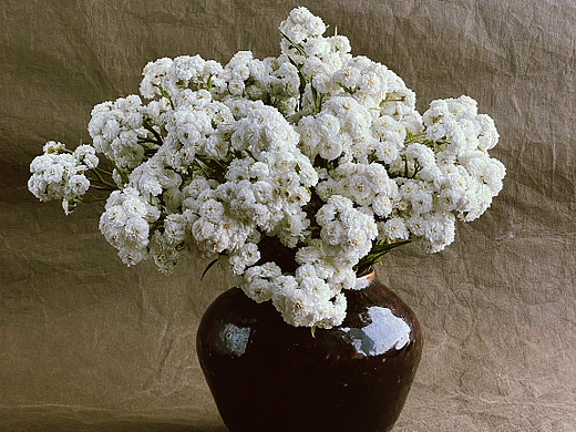 ChainOE日历（7月11-15日）