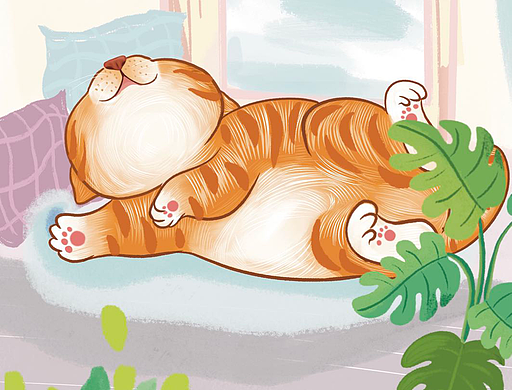 萌主猫-做一条咸鱼